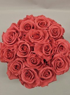 Preserved Pink Roses Preserved Pink Roses