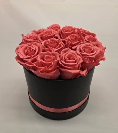 Preserved Pink Roses