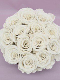 Preserved White Roses