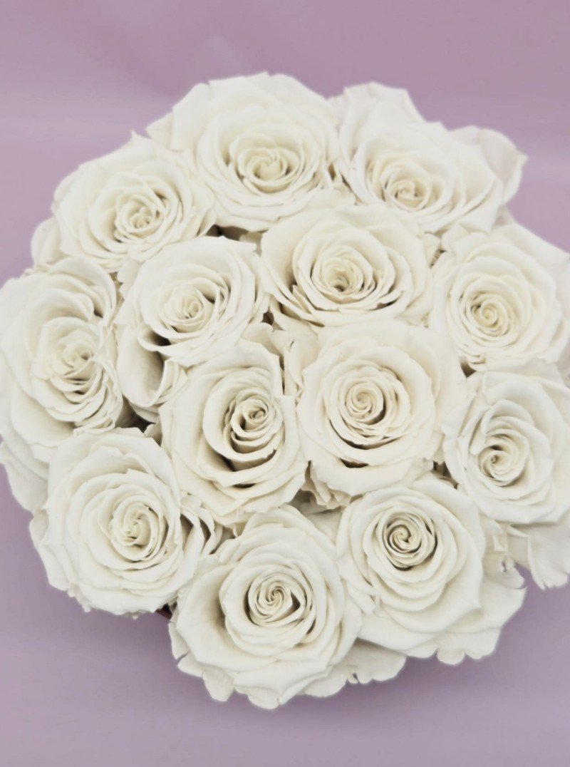 Preserved White Roses