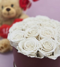 Preserved White Roses