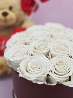Preserved White Roses