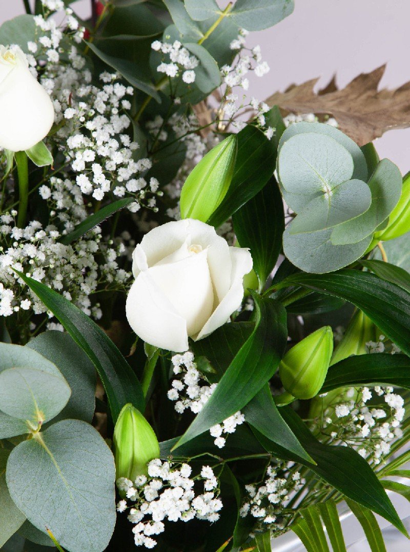 Ivory Garden Ivory Garden