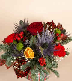 Santas Little Helper