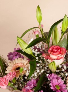 All About You All About You