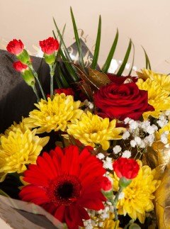 Multicolour Magic Multicolour Magic