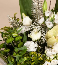 Let It Snow Let It Snow