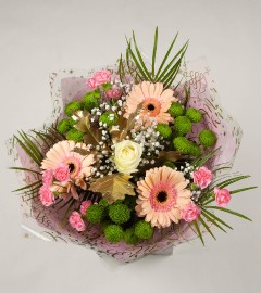 Seasons Greetings Seasons Greetings