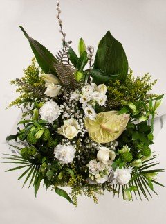 Pure Grace Pure Grace