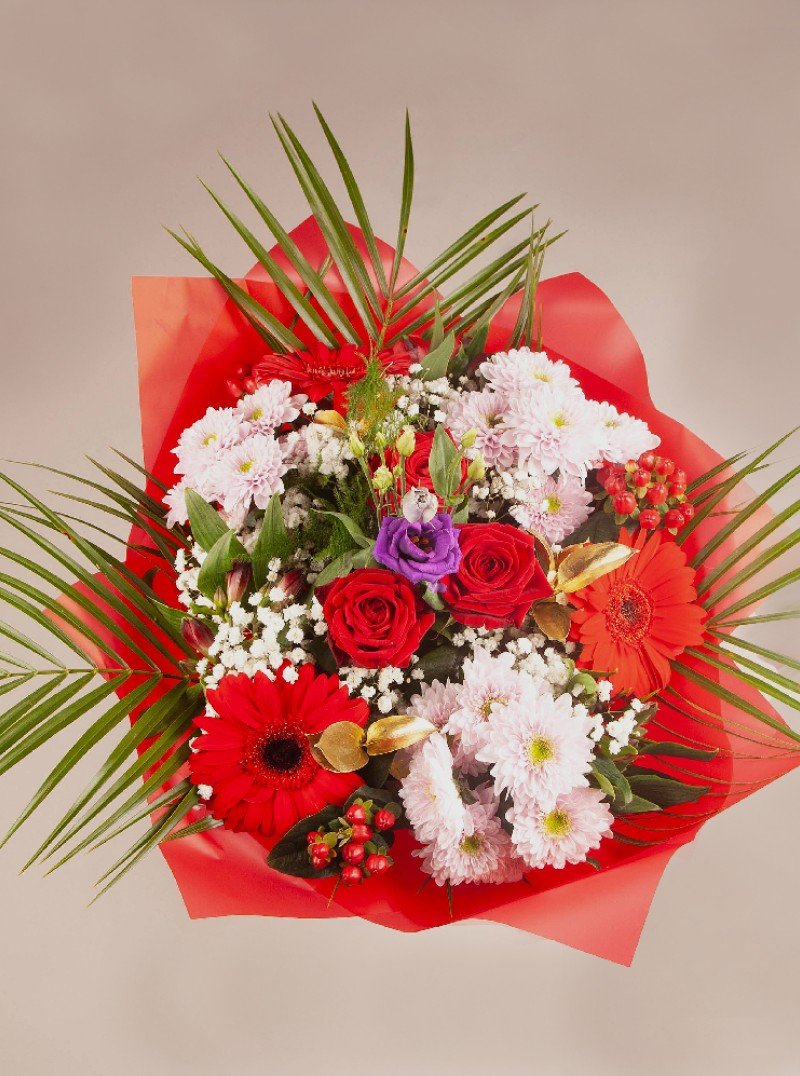 Rosy Delight Rosy Delight