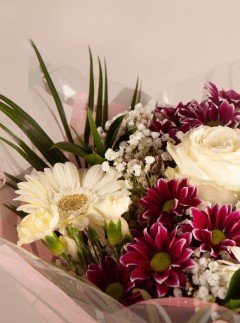 Ivory Bloom Ivory Bloom