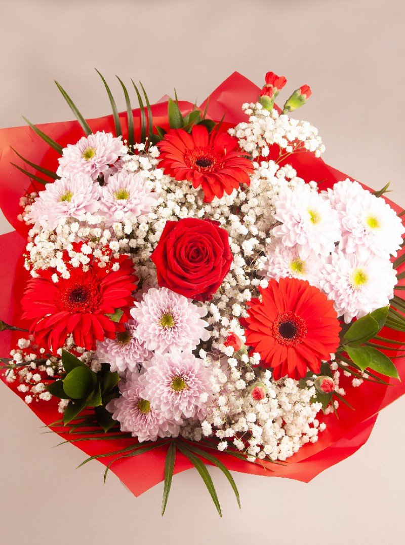 Rosy Delight Rosy Delight