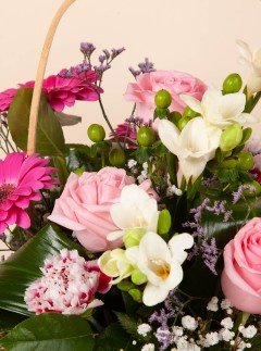 Perfect Basket Perfect Basket