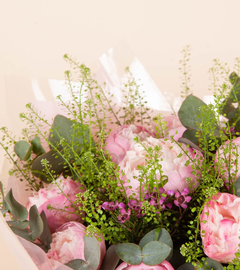 Peony Dream Peony Dream