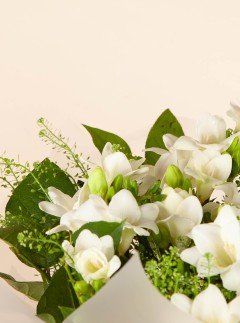 Pure & Beauty Pure & Beauty