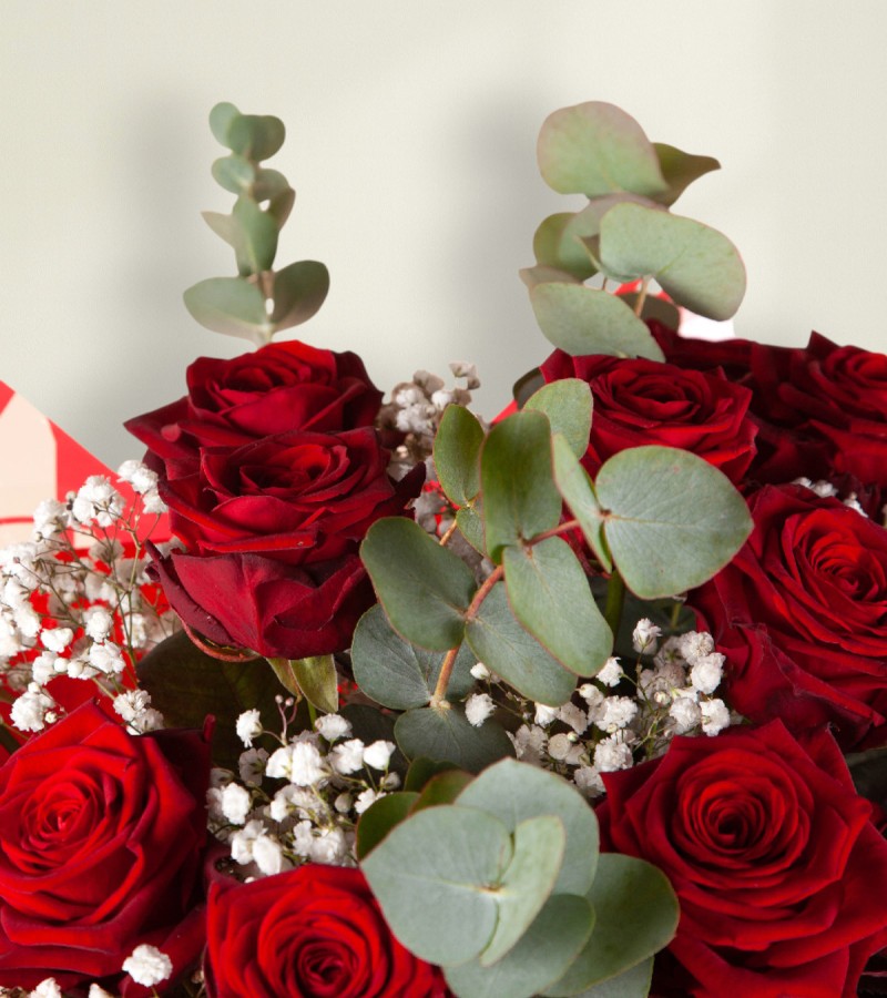 Dozen Red Roses Dozen Red Roses