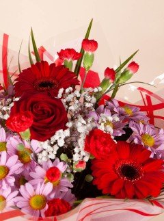 My Darling My Darling