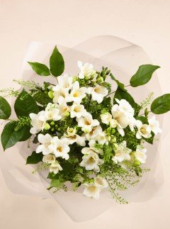 Pure & Beauty Pure & Beauty