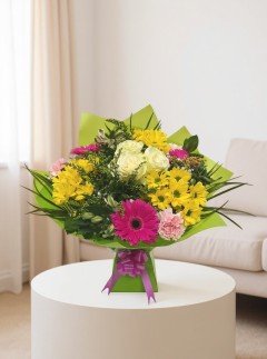 Spring Joy Spring Joy