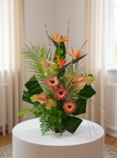 Tropical Sunrise Tropical Sunrise