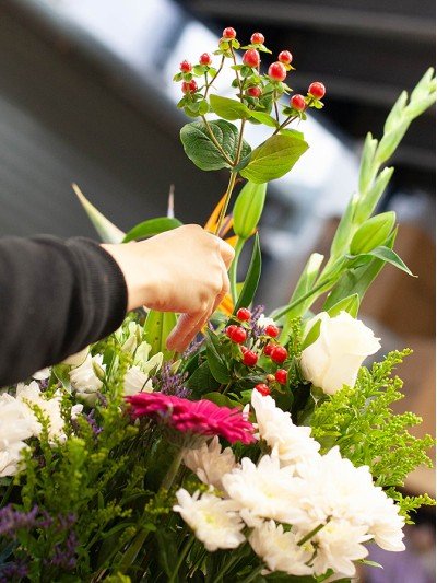 Florist's Choice Florist's Choice