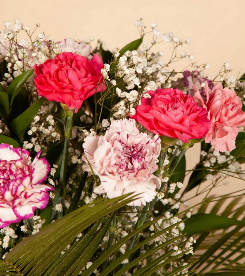 Carnations Bouquet