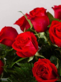 Red Casket Spray Red Casket Spray