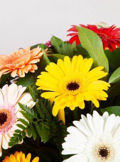 Colourful Casket Spray