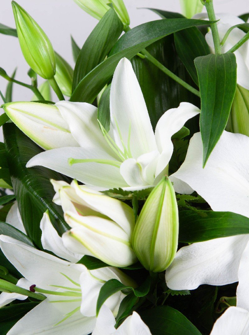 Lily Casket Spray Lily Casket Spray