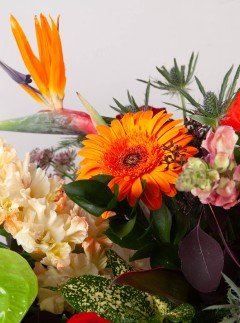 Loaded Casket Spray Loaded Casket Spray