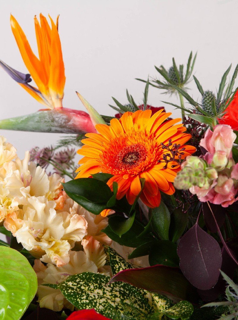 Loaded Casket Spray Loaded Casket Spray