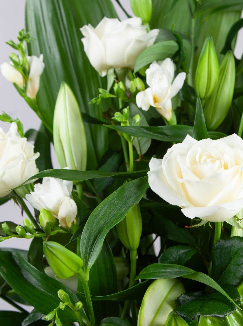 Classic Tribute Classic Tribute