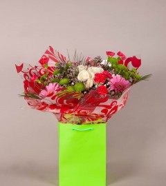 Fresh Forest Fresh Forest