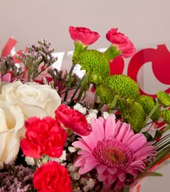 Fresh Forest Fresh Forest