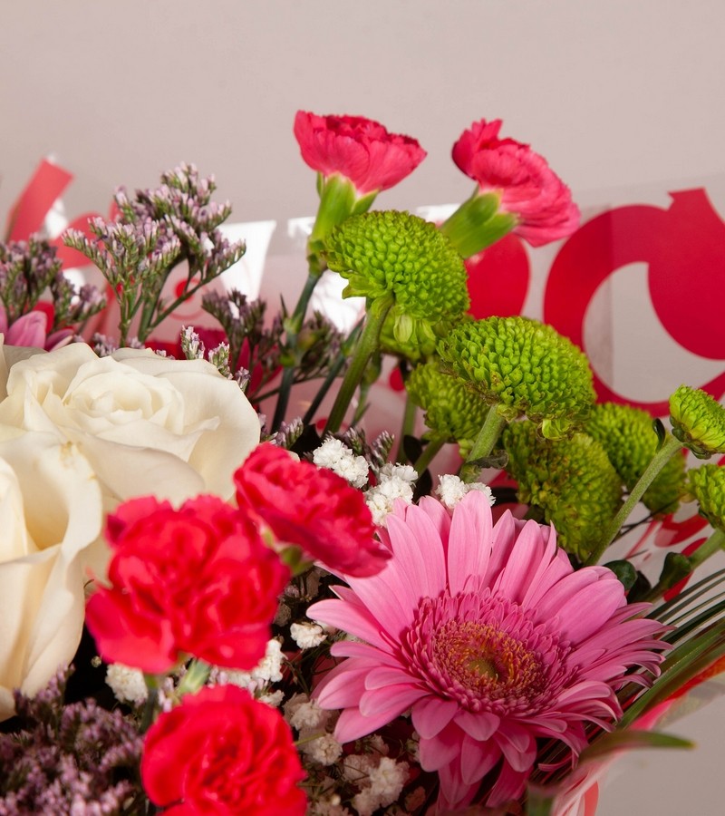 Fresh Forest Fresh Forest