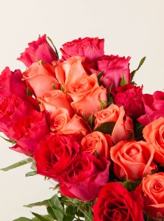 Love Motion Love Motion