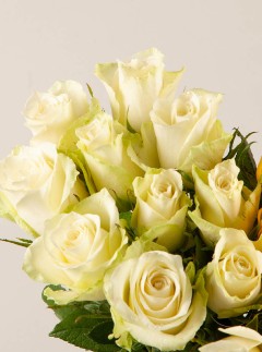 White & Yellow Heart