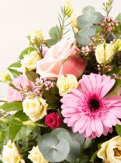 Sympathy Posy Pink