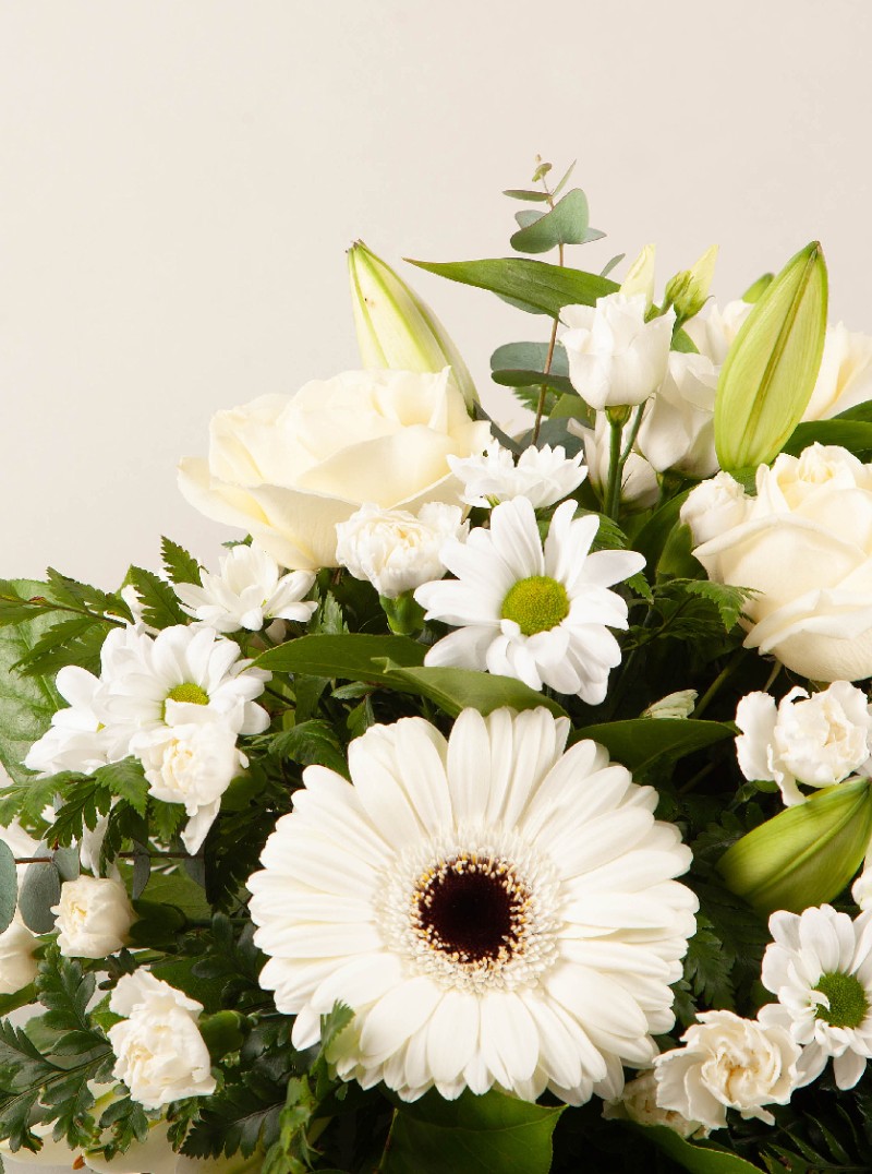 Sympathy Posy White