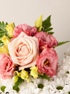 Named Tribute Named Tribute