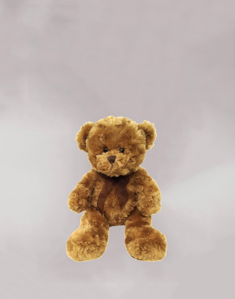 Smaller Teddy Bear