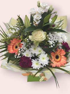 Spring Sunrise Spring Sunrise