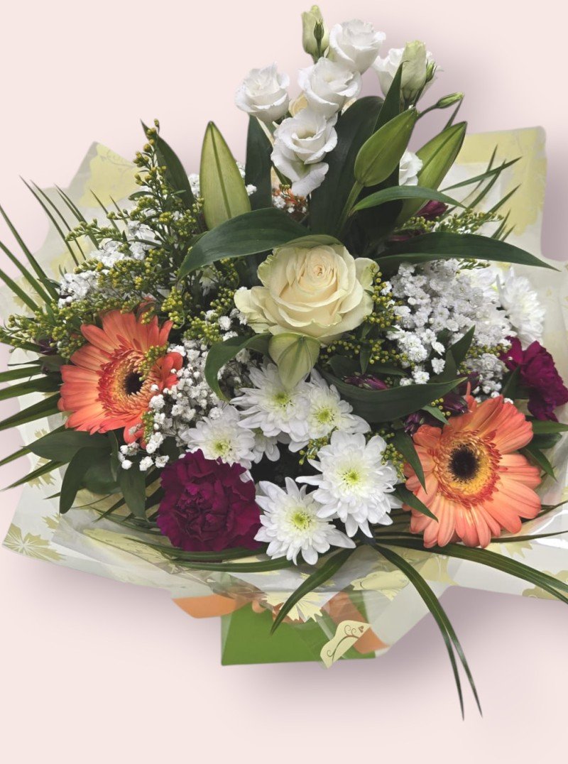 Spring Sunrise Spring Sunrise