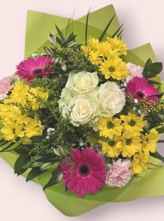 Spring Joy Spring Joy