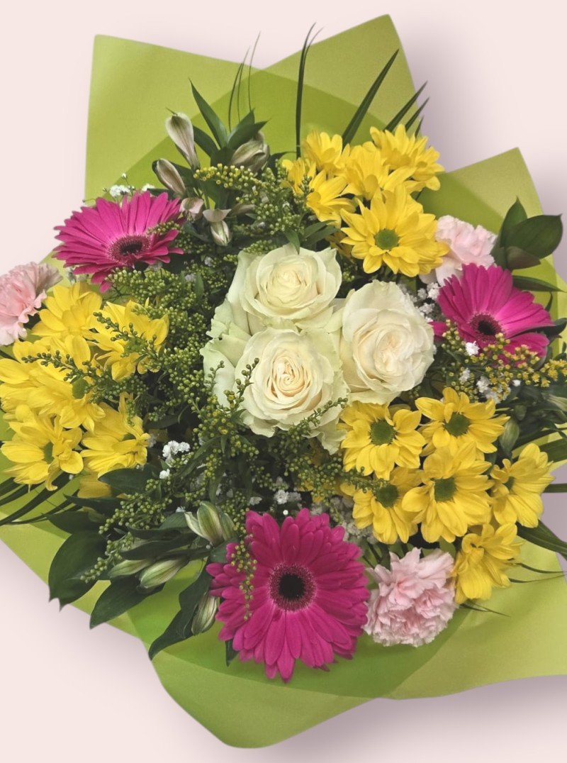 Spring Joy Spring Joy