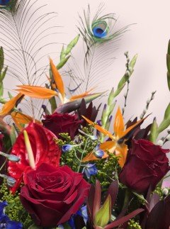 Celestial Paradise Celestial Paradise