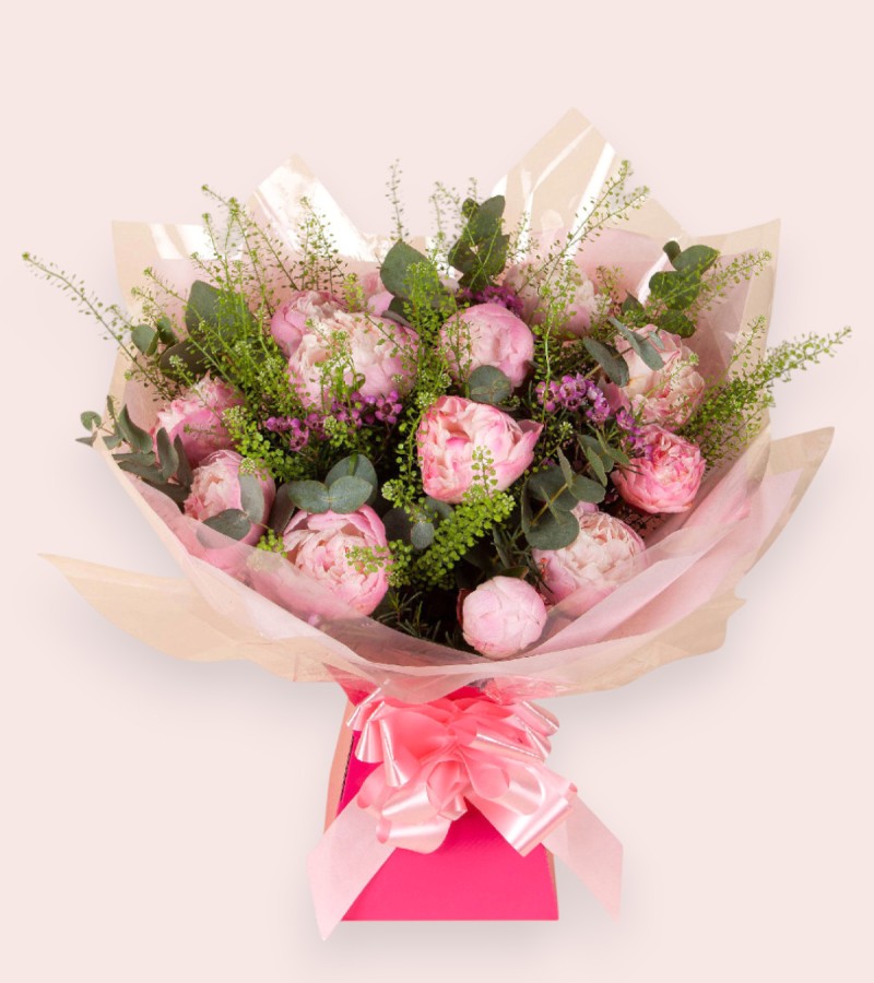 Peony Dream Peony Dream