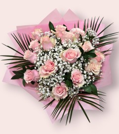 Rose Blush Rose Blush