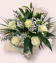 Soft & Elegant Soft & Elegant
