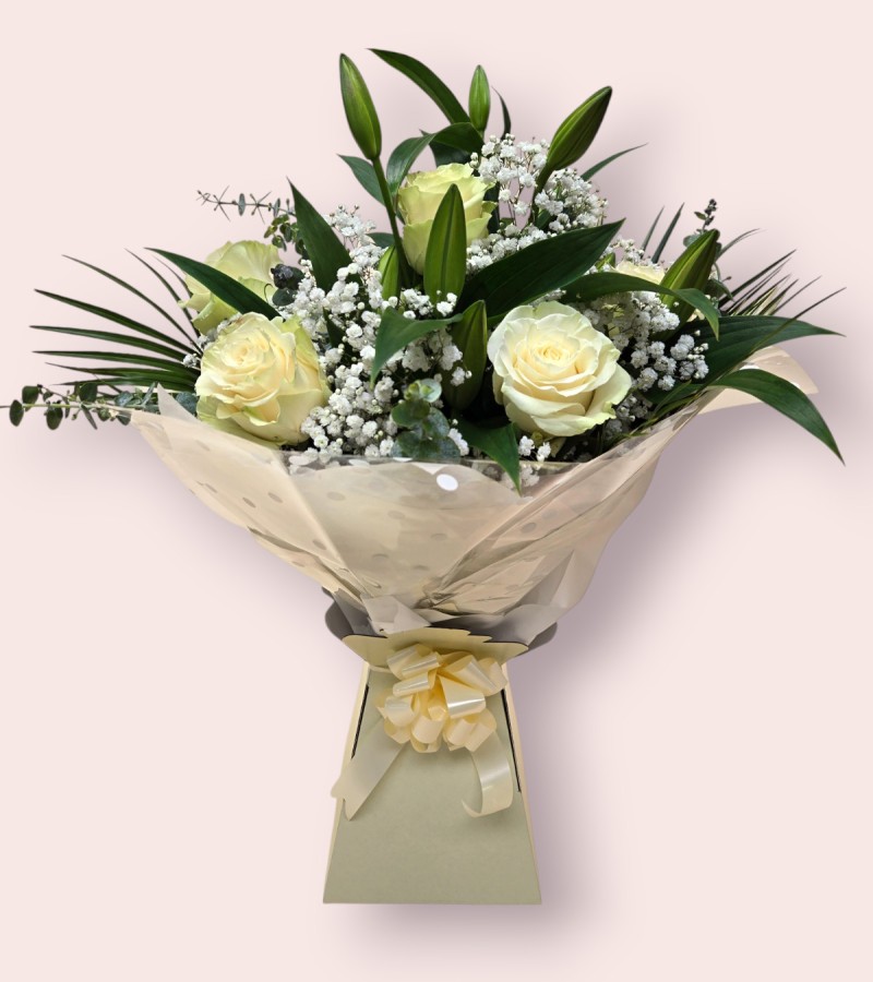 Soft & Elegant Soft & Elegant